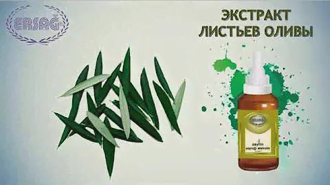 Эрсаг экстракт листьев Оливы Очистка, профила